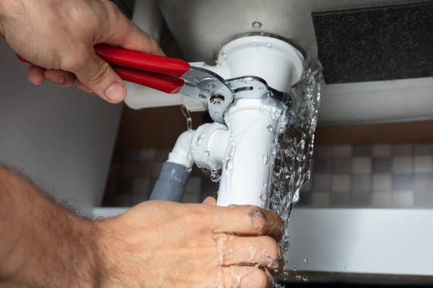 Best Mold removal after water damage  in Eden, NC
