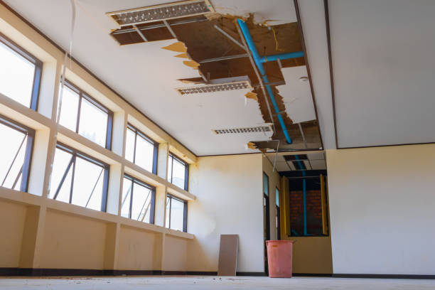Carpet water damage restoration in Eden, NC