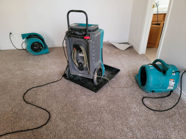 Water damage restoration insurance claims in Eden, NC
