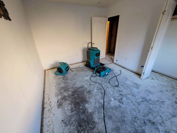 Best Water damage contractors near me  in Eden, NC