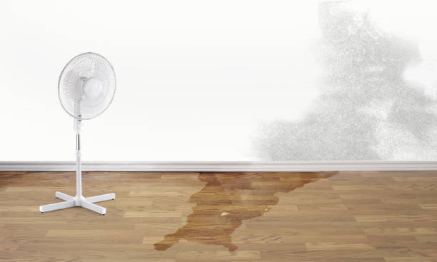  Eden, NC Water damage restoration Pros