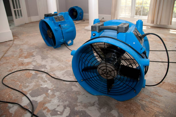 Best Water damage cleanup near me  in Eden, NC