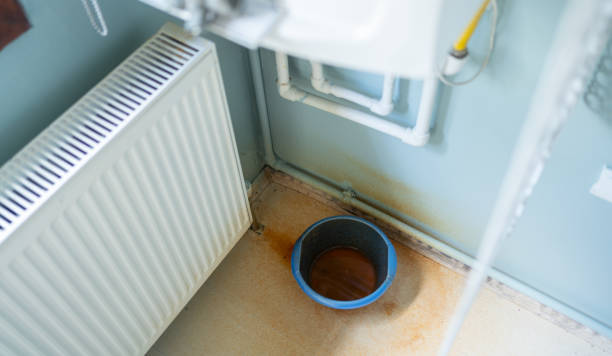 Best Water damage contractors near me  in Eden, NC